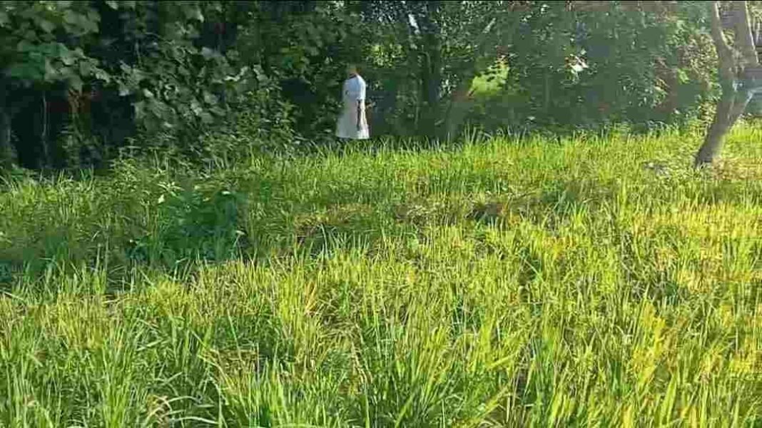 Ferdinandus Dhosa Bantah Tuduhan Penganiayaan, Sebut Pemberitaan Media Wartaglobal Tidak Sesuai Fakta