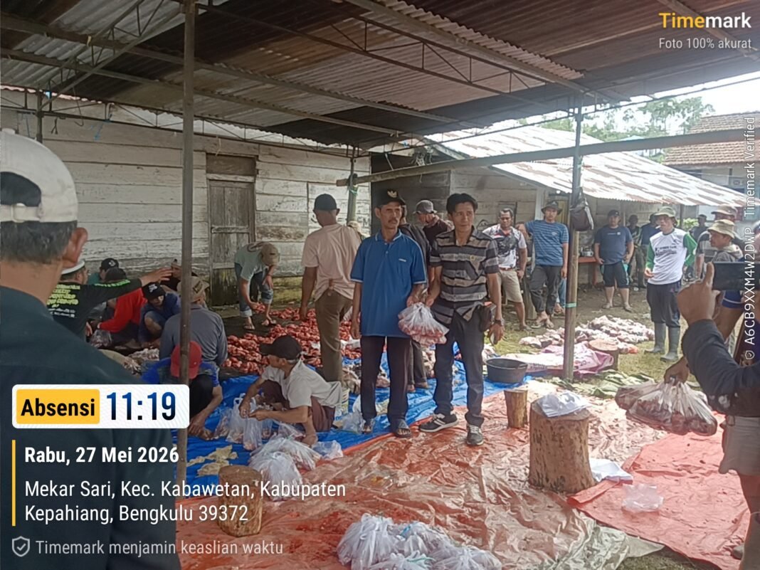 Pelaksanaan Kurban Idul adha (1447 H)- 2026, Desa Mekar Sari Kurban 6 ekor sapi dan 8 ekor kambing. Pelaksanaan Kurban Idul adha (1447 H)- 2026, Desa Mekar Sari Kurban 6 ekor sapi dan 8 ekor kambing.