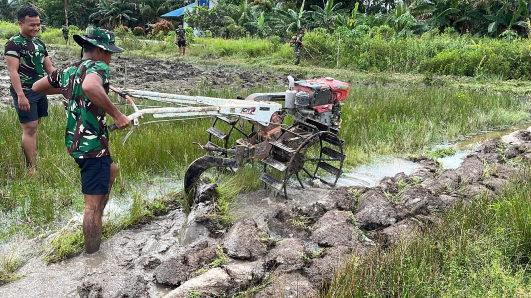 Pembukaan Lahan Pertanian Sawah Terus Dikerjakan, Satgas TMMD Gunakan Traktor untuk Pembajakan Pembukaan Lahan Pertanian Sawah Terus Dikerjakan, Satgas TMMD Gunakan Traktor untuk Pembajakan