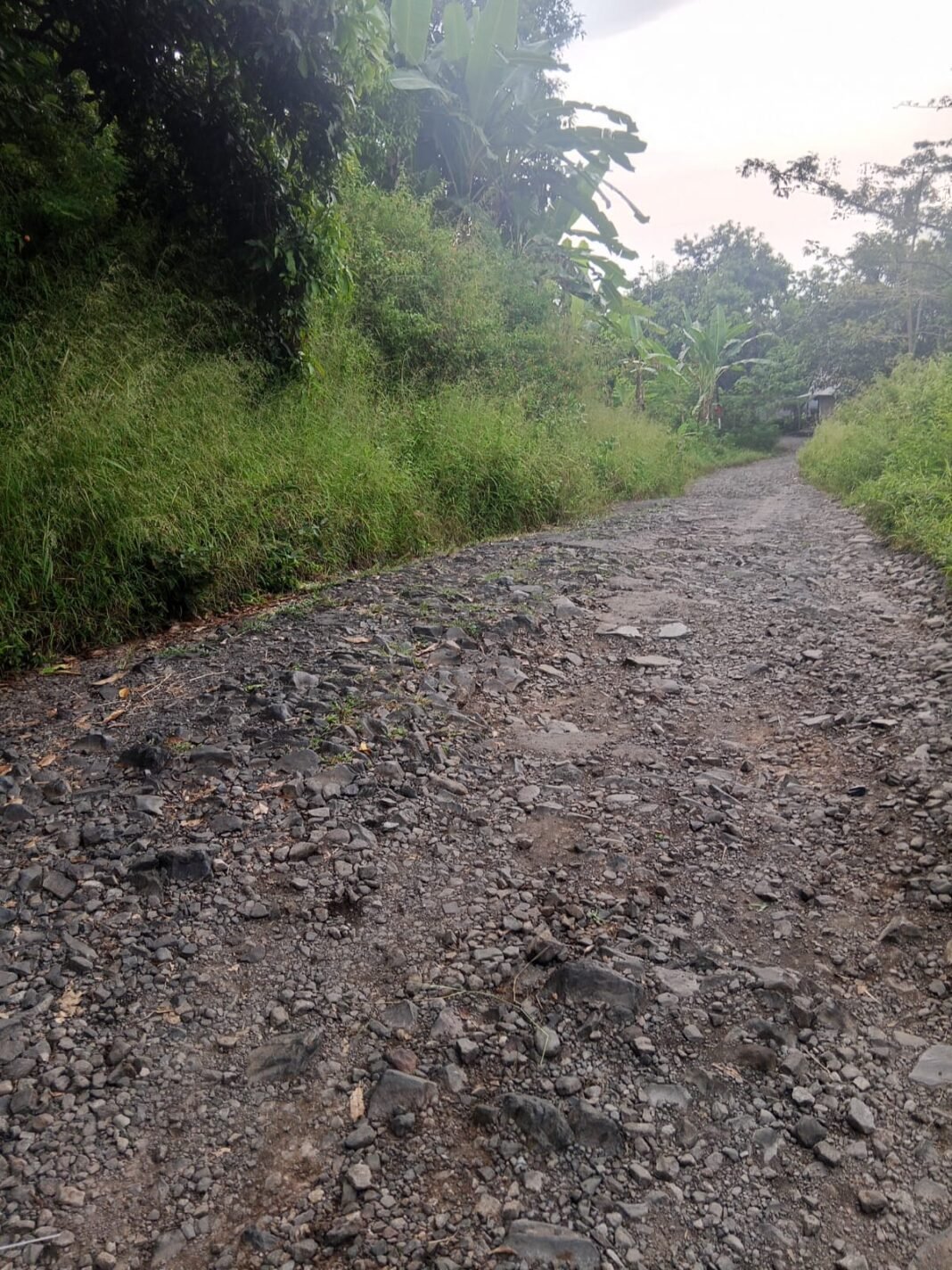 Jalan Klakah–Galih Rusak Parah dan Gelap, Warga: Pemerintah Tutup Mata Jalan Klakah–Galih Rusak Parah dan Gelap, Warga: Pemerintah Tutup Mata
