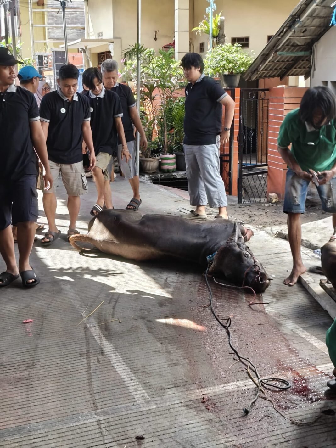 Ketua yayasan Khutoba koja jakarta-Utara gelar acara Penyembelihan Hewan Qurban Ketua yayasan Khutoba koja jakarta-Utara gelar acara Penyembelihan Hewan Qurban