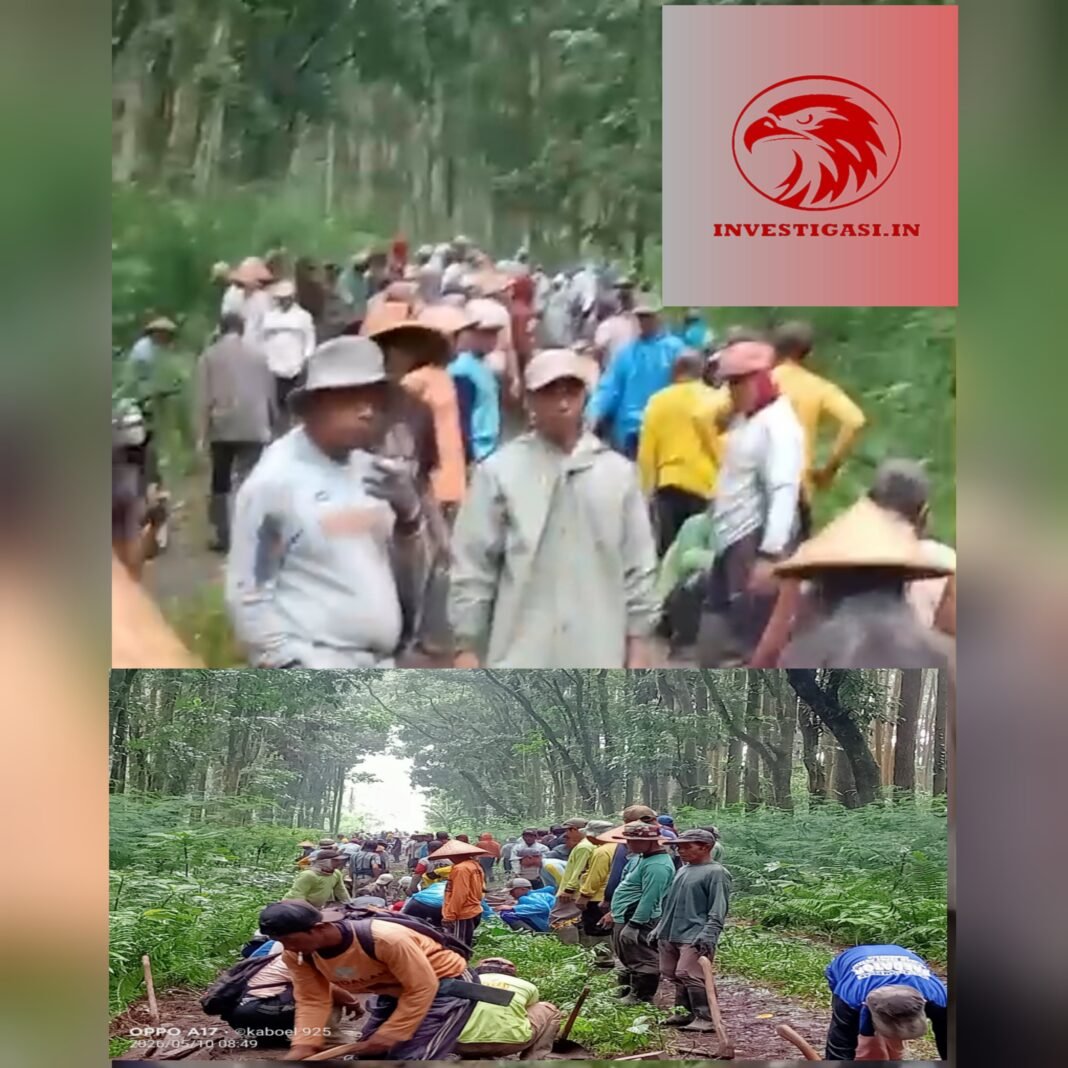 Semangat Kebersamaan, Hampir 600 Warga Bangun Jalan Tani Secara Swadaya Semangat Kebersamaan, Hampir 600 Warga Bangun Jalan Tani Secara Swadaya