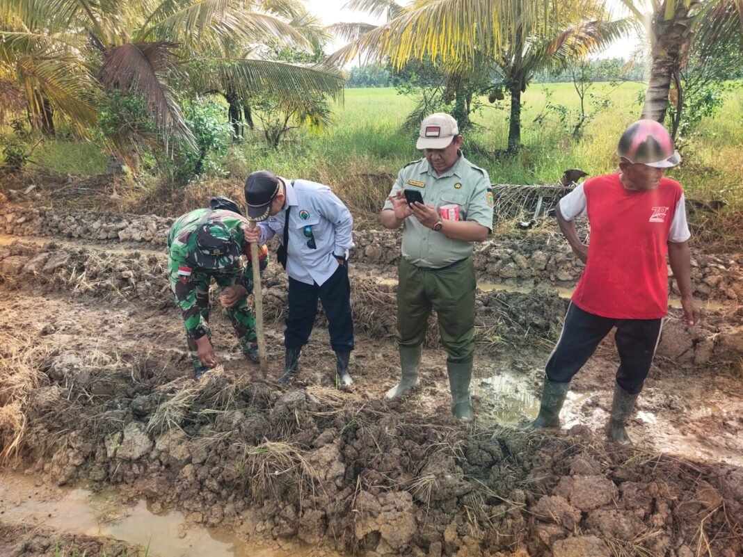 Dukung Ketahanan Pangan Wilayah, Babinsa Salatiga Tanam Jagung Bersama Polri Dukung Ketahanan Pangan Wilayah, Babinsa Salatiga Tanam Jagung Bersama Polri