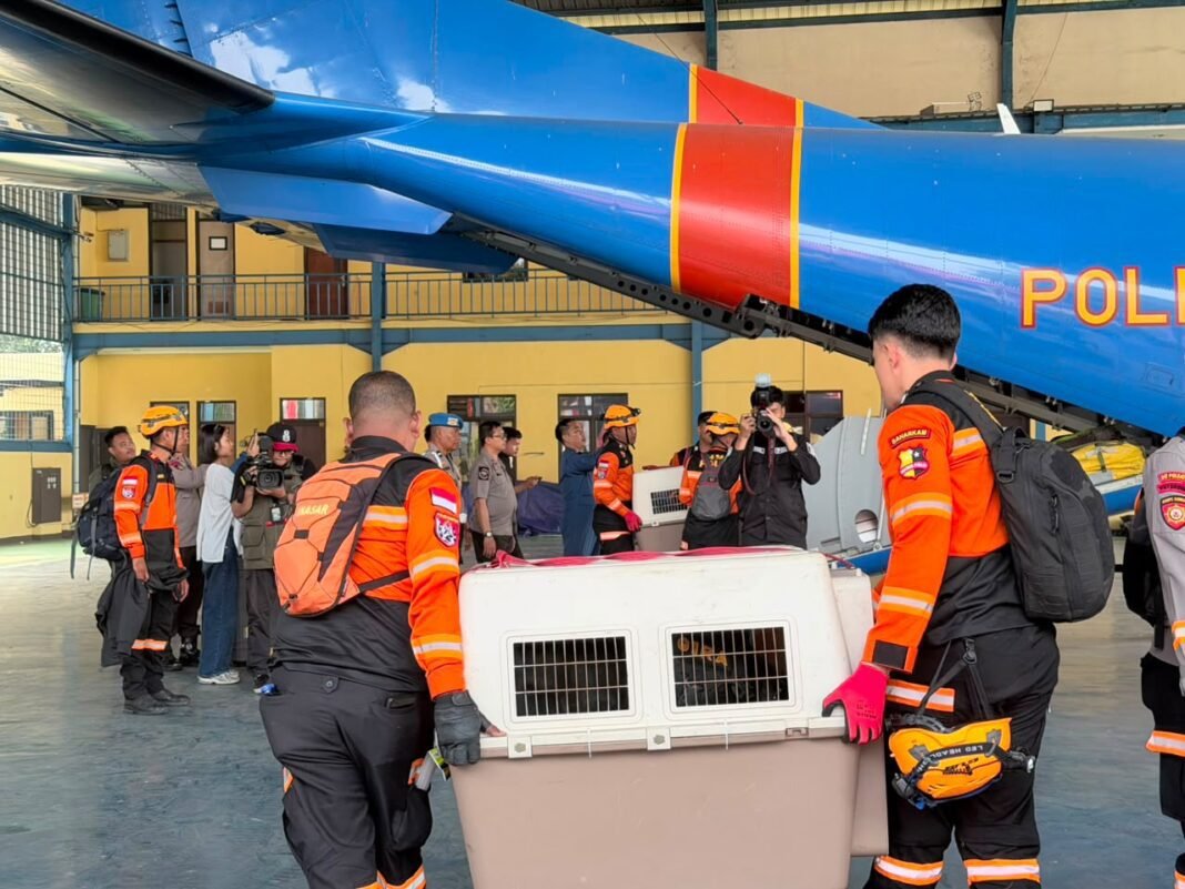 Tembang dengan pesawat Kusus polri kerahkan 10 kg Sar Berpengalaman ke Flores Misi pencarian korban Tembang dengan pesawat Kusus polri kerahkan 10 kg Sar Berpengalaman ke Flores Misi pencarian korban