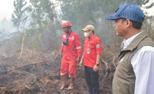 Tinjau Guntung Damar, Menhut Raja Antoni Pelaku Karhutla Ditindak Tanpa Pandang Bulu Tinjau Guntung Damar, Menhut Raja Antoni Pelaku Karhutla Ditindak Tanpa Pandang Bulu