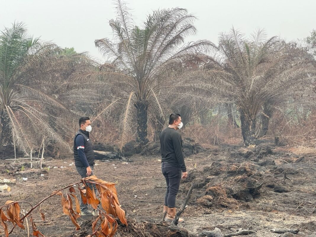 Gakkum Satreskrim Polres Kubu Raya Memeriksa Lokasi kebakaran Karhutla Desa Rasau Jaya Umum Gakkum Satreskrim Polres Kubu Raya Memeriksa Lokasi kebakaran Karhutla Desa Rasau Jaya Umum