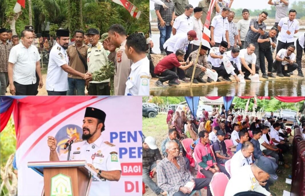 Lobi Bupati Al- Farlaky, Pembudidaya Tambak Terima Benur Udang Vaname Dari KKP Lobi Bupati Al- Farlaky, Pembudidaya Tambak Terima Benur Udang Vaname Dari KKP