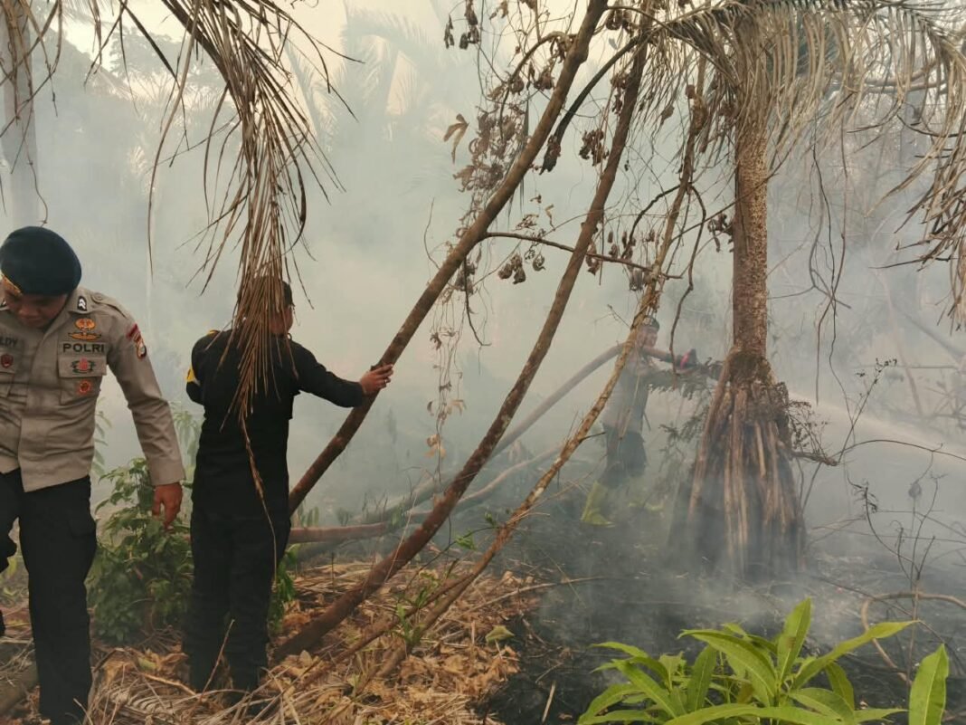 Brimob Malut Respons Cepat, Bersinergi Padamkan Kebakaran Lahan di Desa Tewil Brimob Malut Respons Cepat, Bersinergi Padamkan Kebakaran Lahan di Desa Tewil